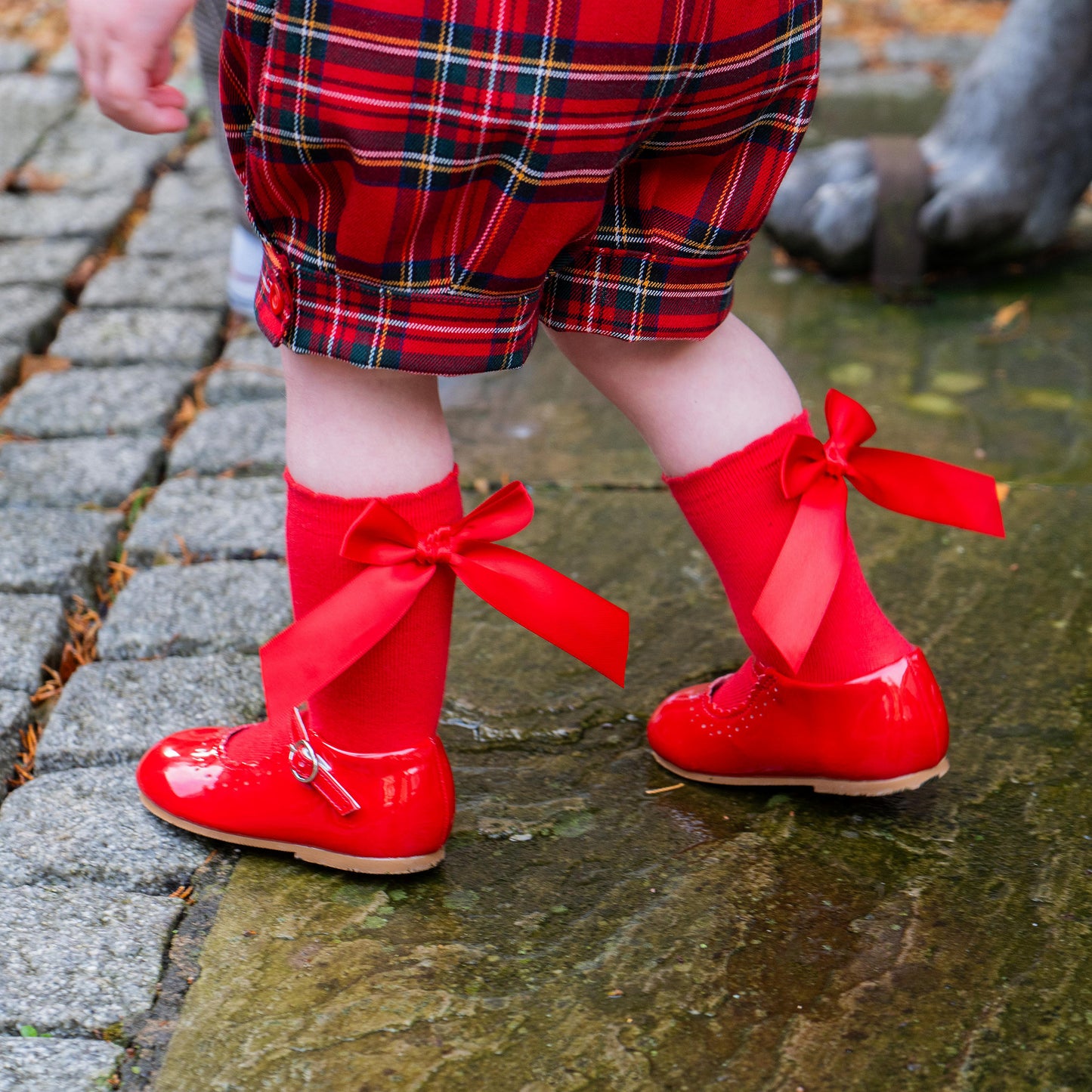 Ribbon Socks